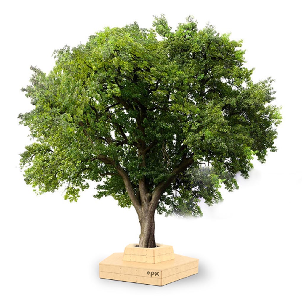 Robinia väikevorm 13 - Pilt 3